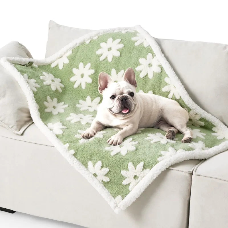 Comfy Waterproof Pet Travel Blanket
